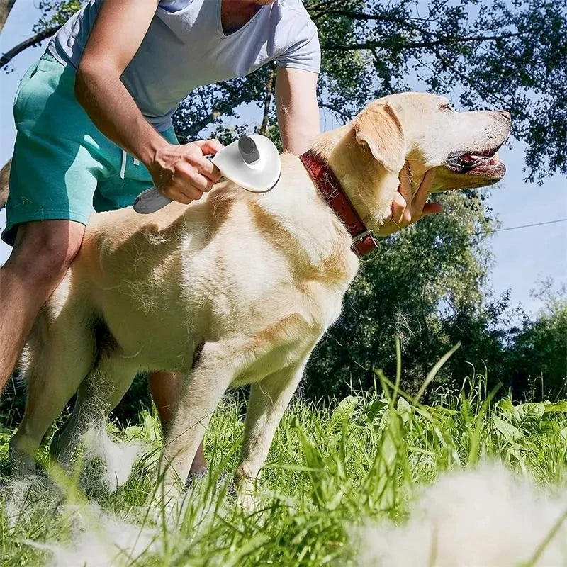Pet Hair Removal Brush – Gentle Grooming for Dogs & Cats